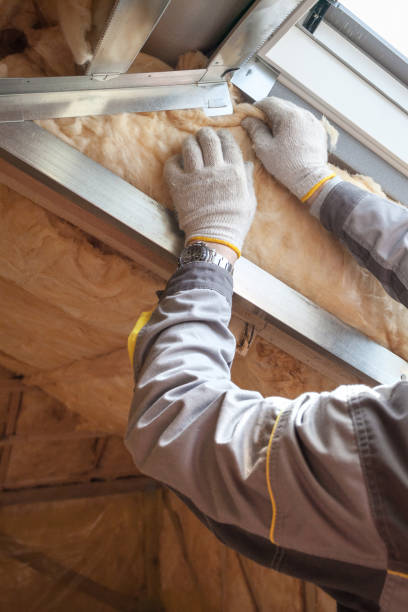 Best Insulation Contractor Near Me  in Dobbs Ferry, NY